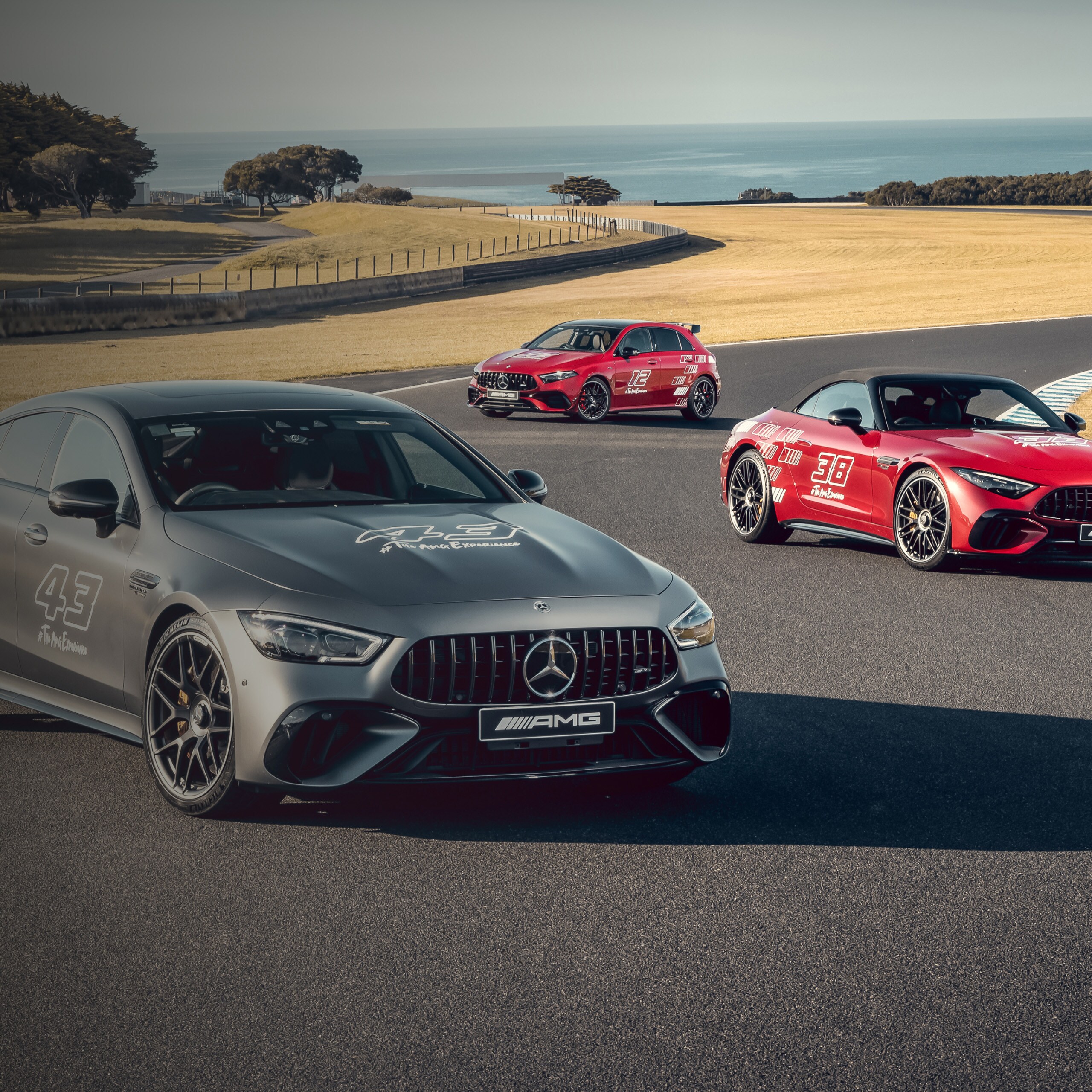 Several Mercedes-AMG vehicles.