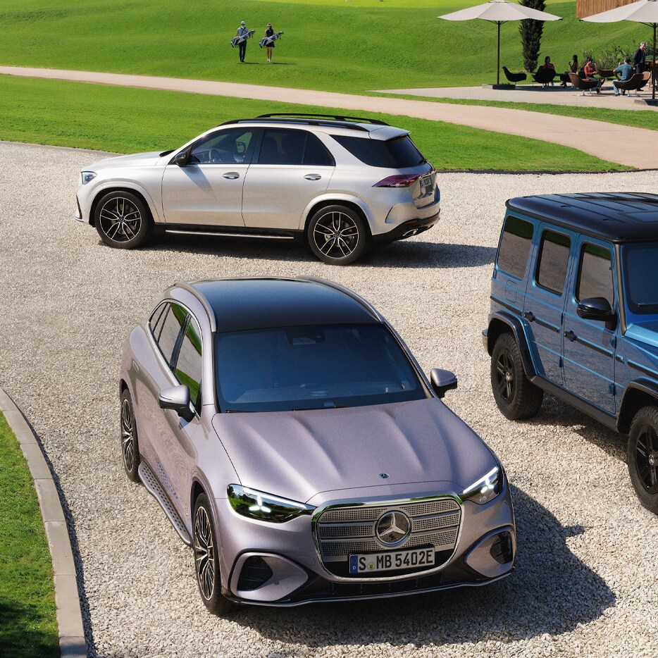 Business and Fleet 
