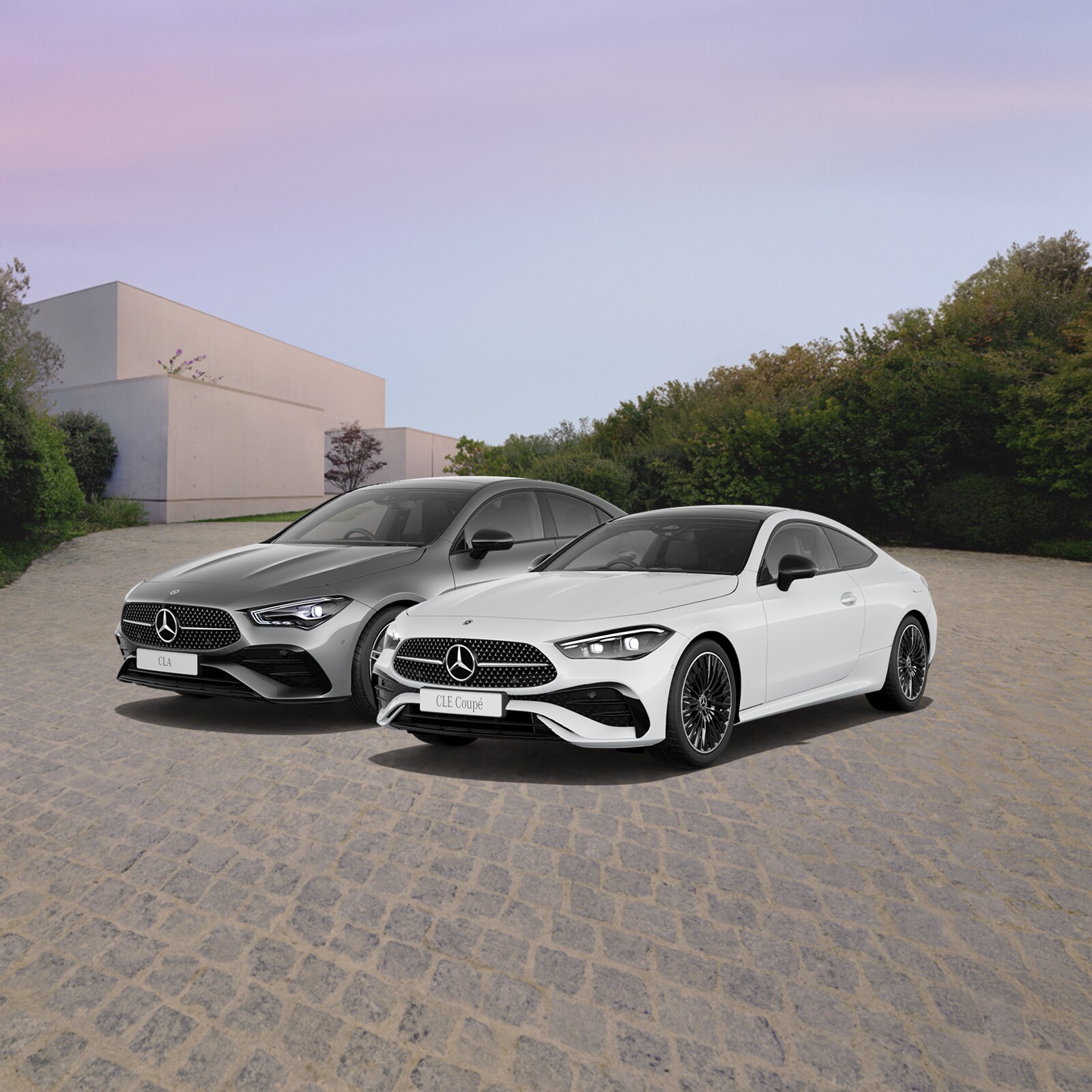 CLA 200 and CLE 200 with backplate