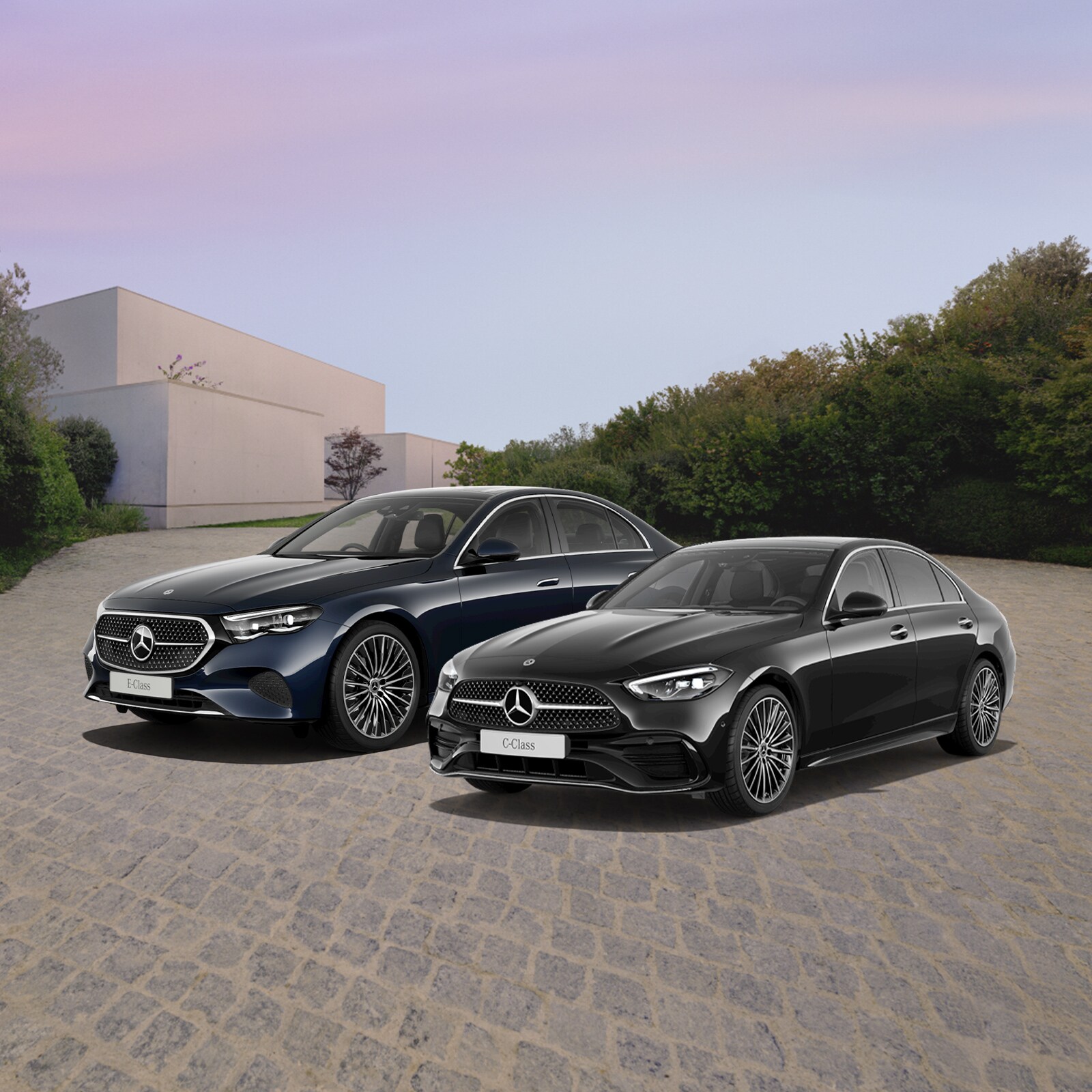 C 200 and E 200 with backplate