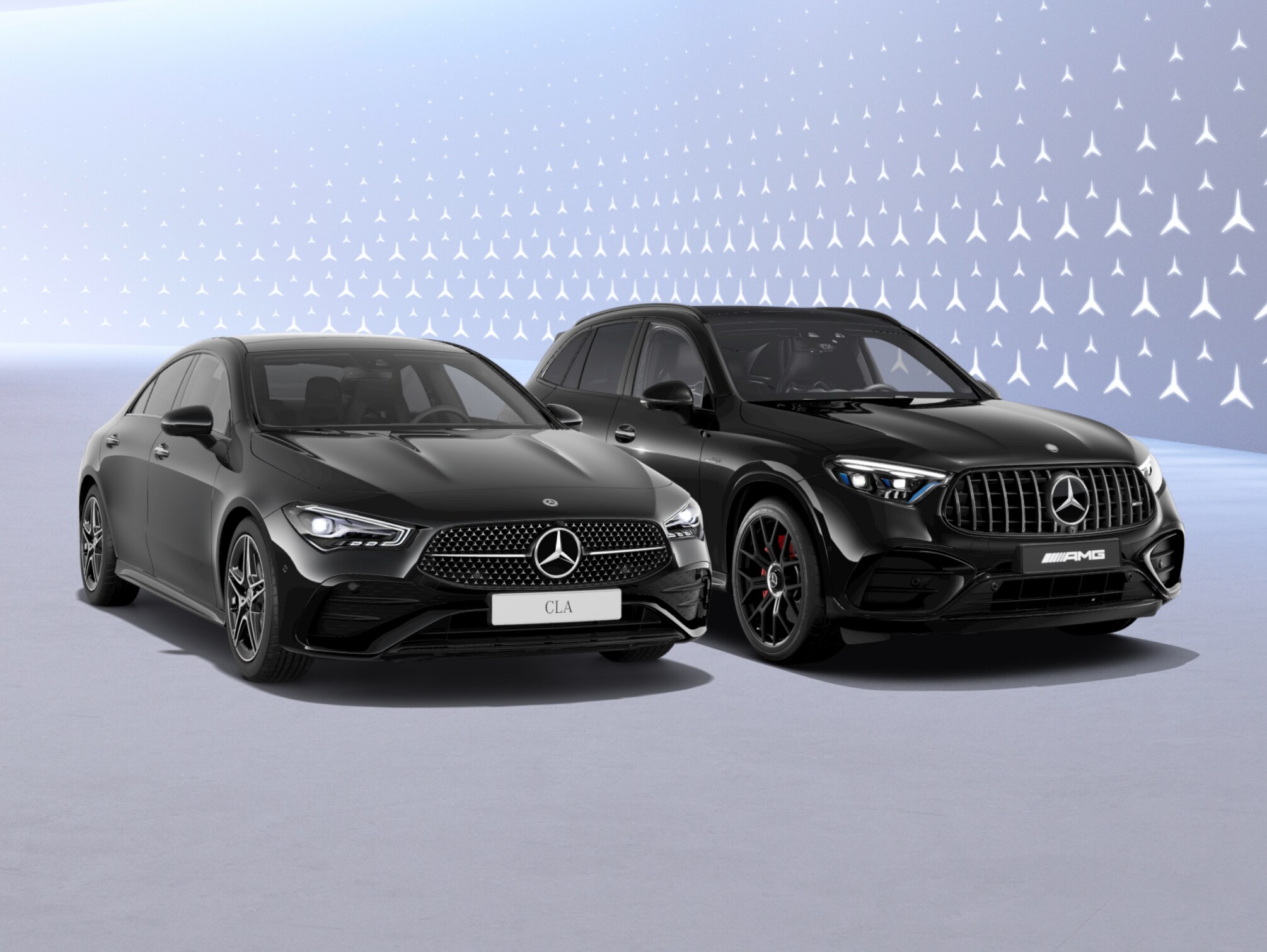 Mercedes-Benz stars on show