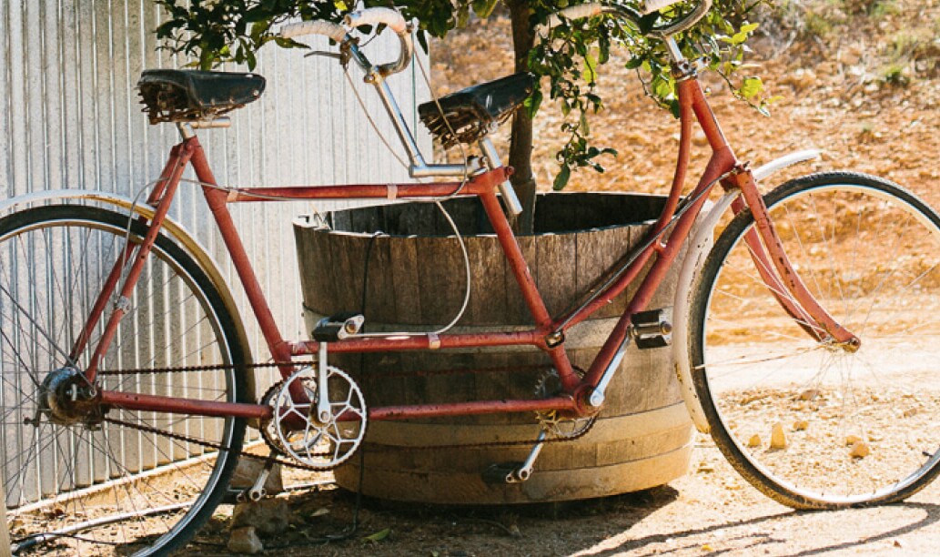 A bicycle in front of a winery cellar door