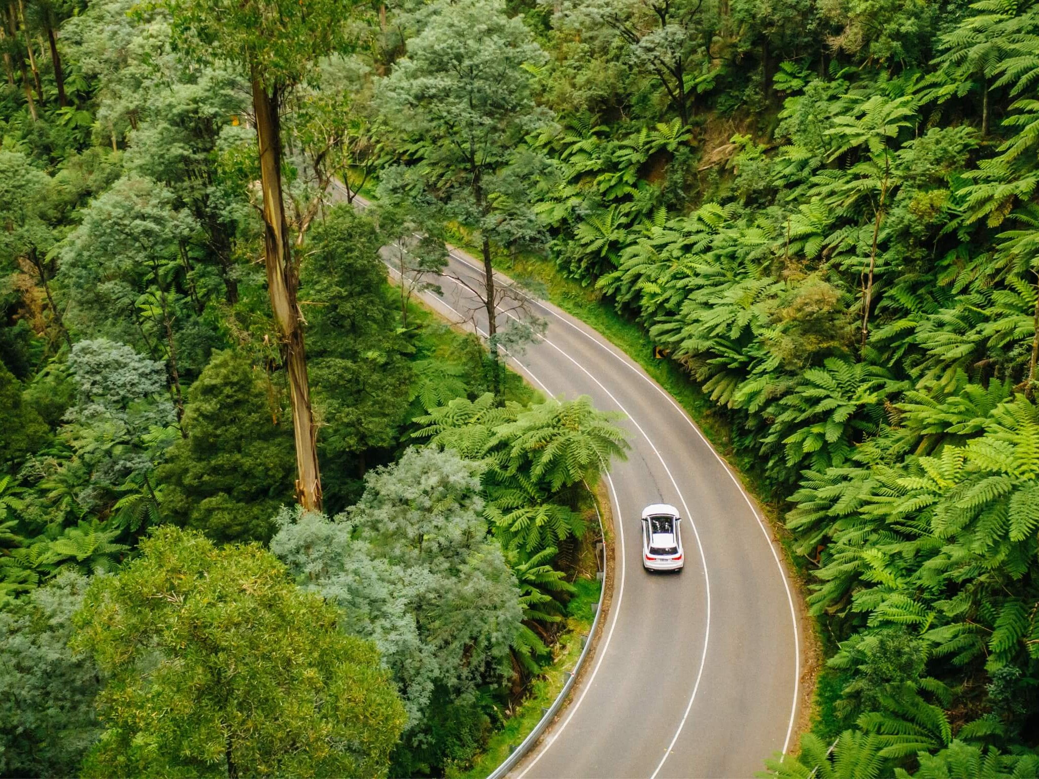Mercedes-Benz GLS in the Yarra Valley in Victoria