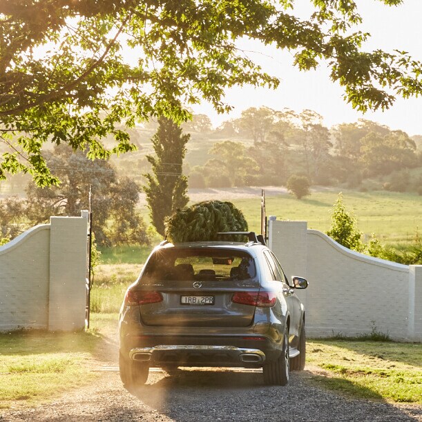 A Christmas tree on the roof of a Mercedes GLA