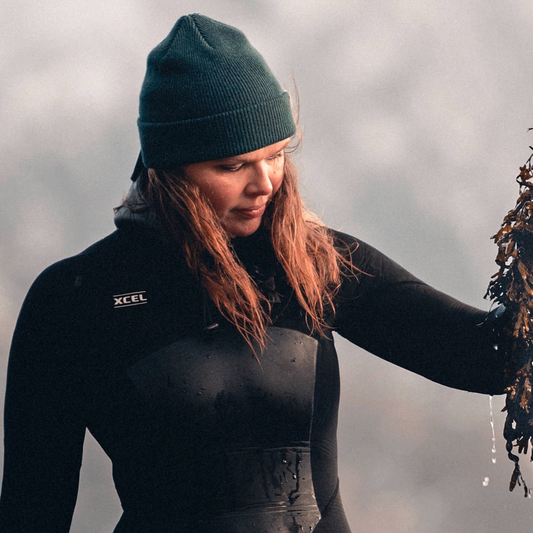 Angelita Eriksen wears a wetsuit in water while harvesting seaweed. 