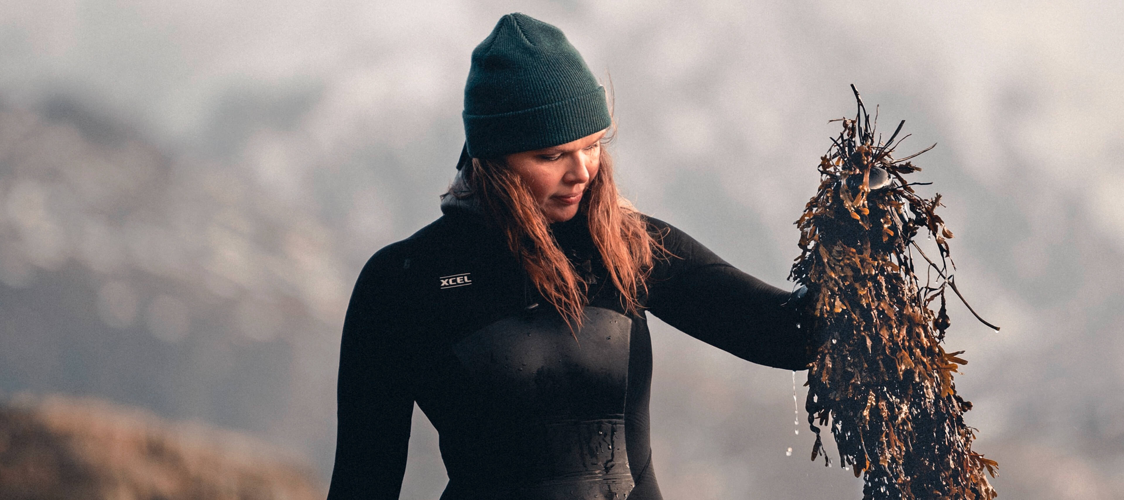 Angelita Eriksen Angelita Eriksen wears a wetsuit in water while harvesting seaweed.