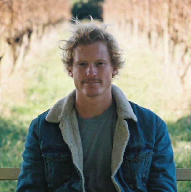 A man sits on a bench in a vineyard