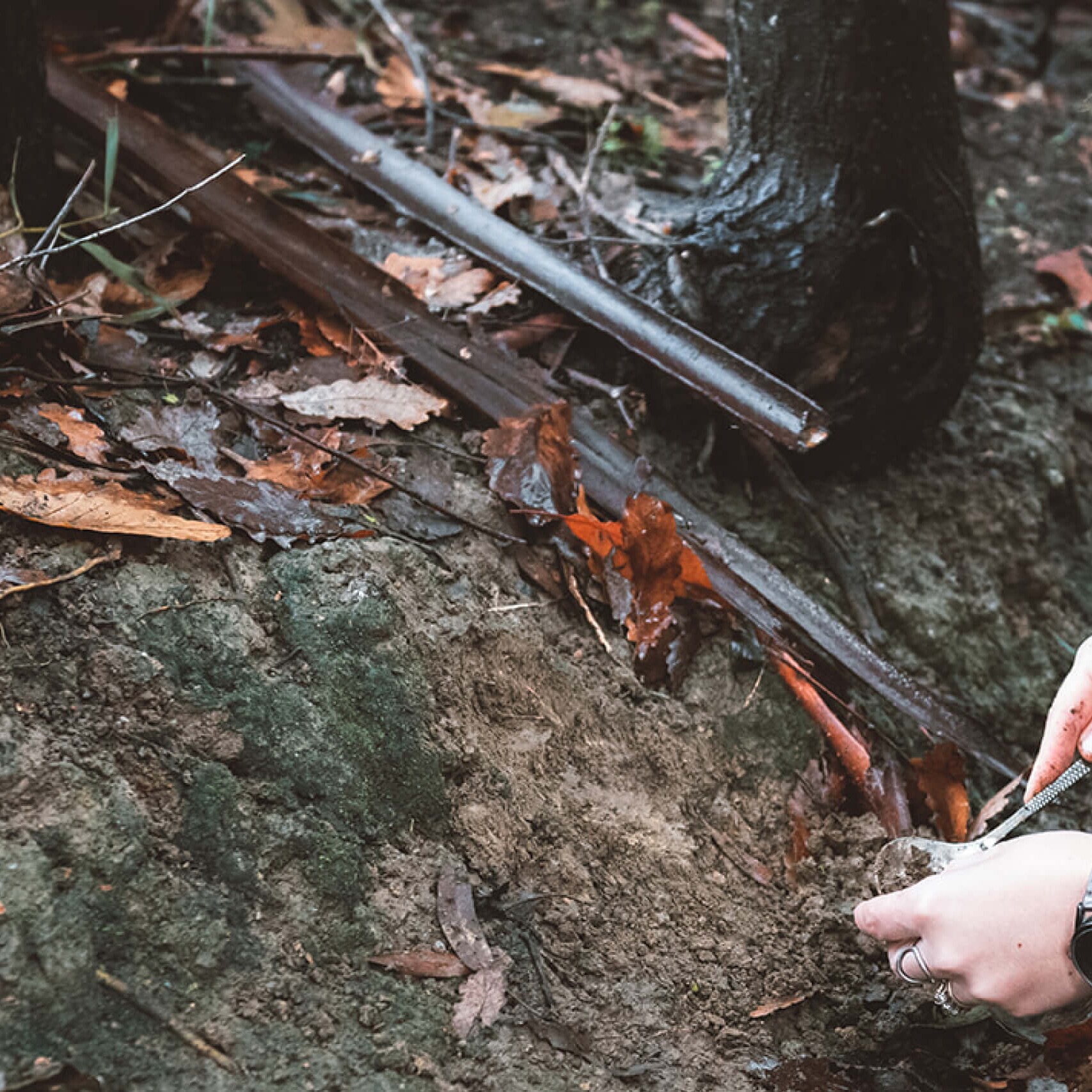 Lucy Hersey collecting soil from the ground. Image credit/photographer: Nicky Cawood