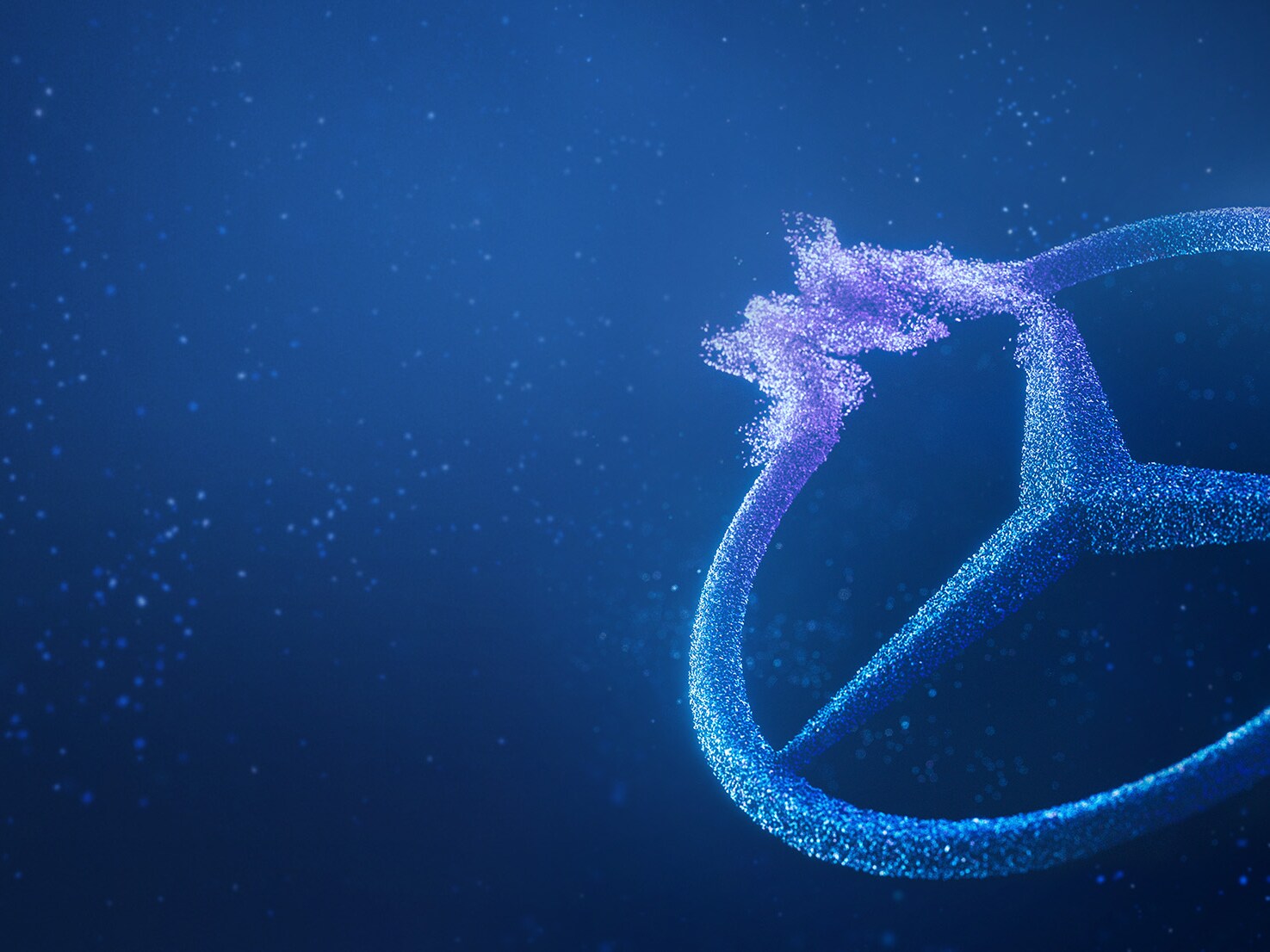 Discover the enhanced ownership experience.